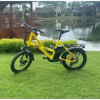 Electric Bike - Urbansport lite